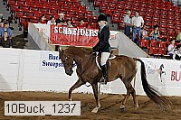 10buck_1237 proof
