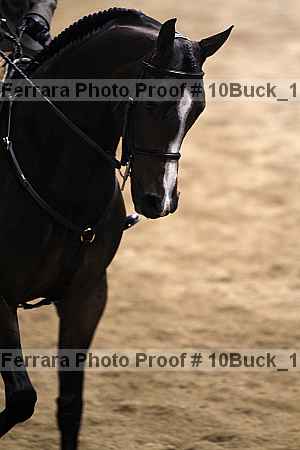 Proof 10buck_1270