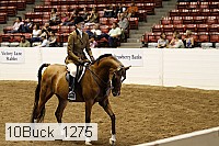 10buck_1275 proof