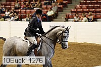 10buck_1276 proof