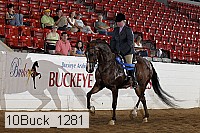 10buck_1281 proof