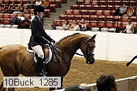 10buck_1285 proof