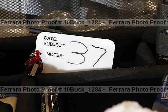 Proof 10buck_1284