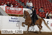 10buck_1290 proof