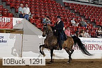 10buck_1291 proof