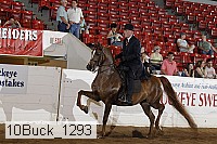 10buck_1293 proof