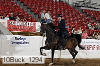 10buck_1294 proof