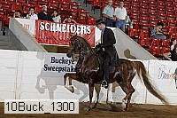 10buck_1300 proof