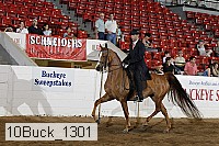 10buck_1301 proof