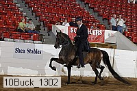 10buck_1302 proof