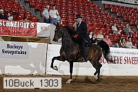 10buck_1303 proof