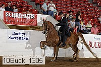 10buck_1305 proof