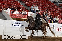 10buck_1306 proof