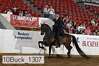 10buck_1307 proof
