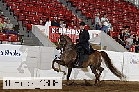10buck_1308 proof