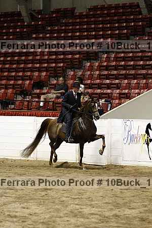 Proof 10buck_1309