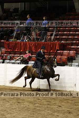 Proof 10buck_1310