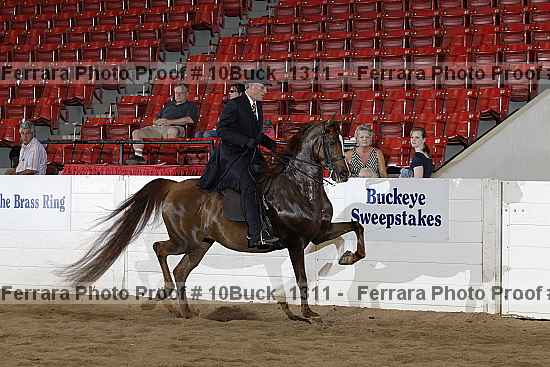 Proof 10buck_1311