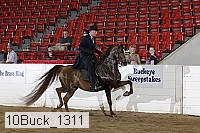 10buck_1311 proof