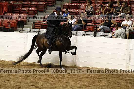Proof 10buck_1317