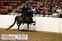 10buck_1317 proof