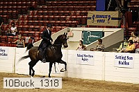 10buck_1318 proof