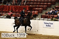 10buck_1319 proof