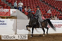 10buck_1329 proof