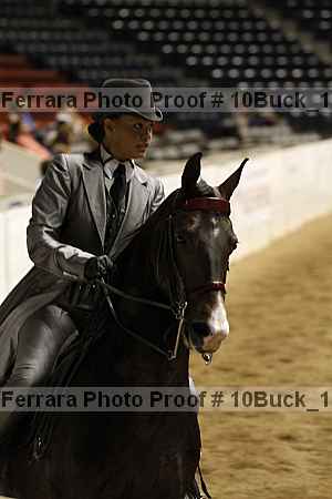 Proof 10buck_1331
