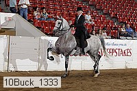 10buck_1333 proof