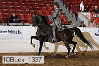 10buck_1337 proof