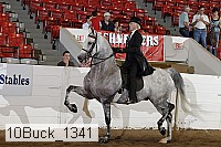 10buck_1341 proof