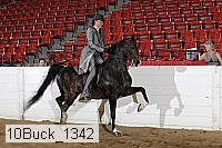 10buck_1342 proof