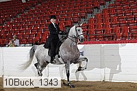 10buck_1343 proof