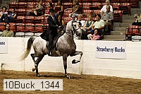 10buck_1344 proof