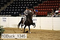 10buck_1345 proof