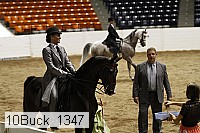 10buck_1347 proof