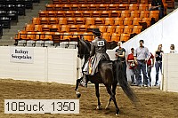 10buck_1350 proof