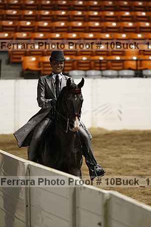 Proof 10buck_1352