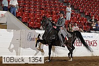 10buck_1354 proof