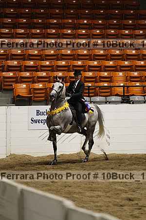 Proof 10buck_1355