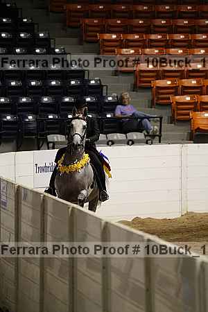 Proof 10buck_1356