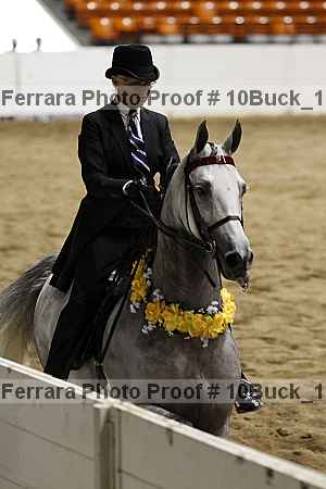 Proof 10buck_1358