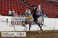 10buck_1361 proof