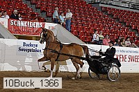 10buck_1366 proof
