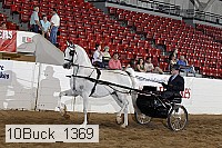 10buck_1369 proof