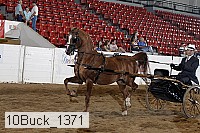10buck_1371 proof