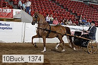 10buck_1374 proof