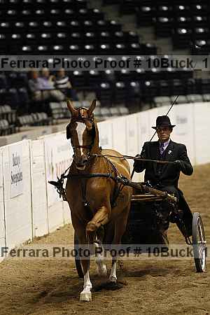 Proof 10buck_1376