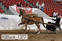10buck_1377 proof